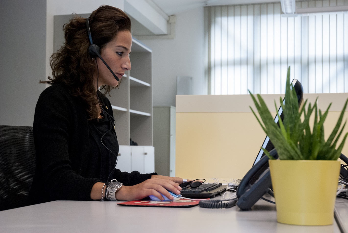 Un marketing manager frente del ordinador, en una agencia de marketing operativo. 